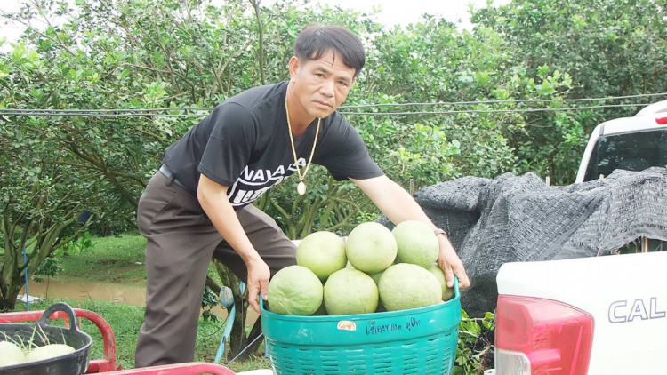 เกษตรกร ป.4 เผยเทคนิคสวนส้มโอเงินล้าน ทำยังไงไปดูกัน