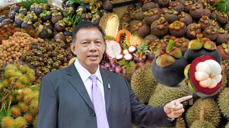 “มังคุด”เมืองจันท์ ลุยเกษตรแปลงใหญ่