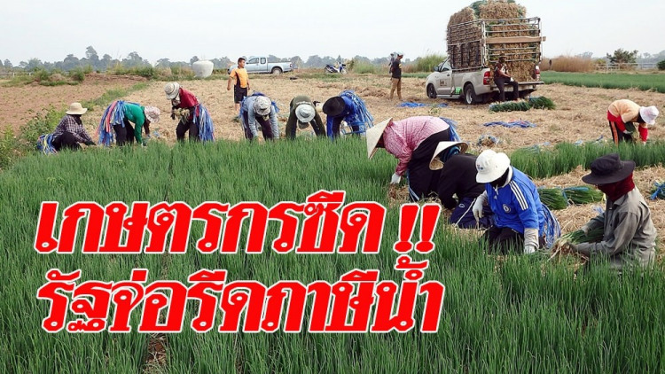 เกษตรกรตายแน่ รัฐจ่อรีดภาษีน้ำ ภาคเกษตรเก็บไม่เกิน 50 สตางค์ต่อลบ.ม. คาดเดือนหน้าเริ่มบังคับใช้