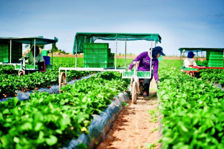 พลิกฟื้นสังคมเกษตรไทย สู่ผู้นำโลกด้วย Agitech