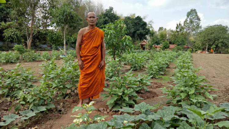 หลวงพี่ปลูกผักเศรษฐกิจพอเพียง แจกชาวบ้านฟรี สร้างพื้นที่เปล่าให้มีคุณค่า