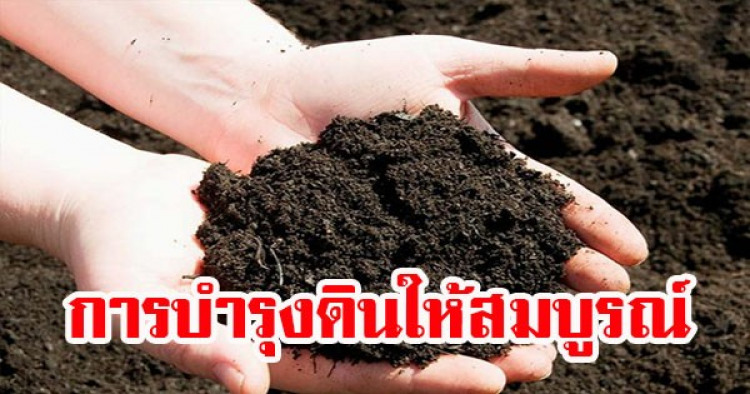 การบำรุงดินให้สมบูรณ์